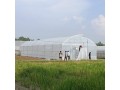 agriculture-greenhouse-structure-protected-cultivation-farming-small-0