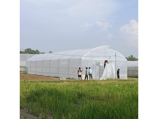 Agriculture greenhouse structure- protected cultivation farming